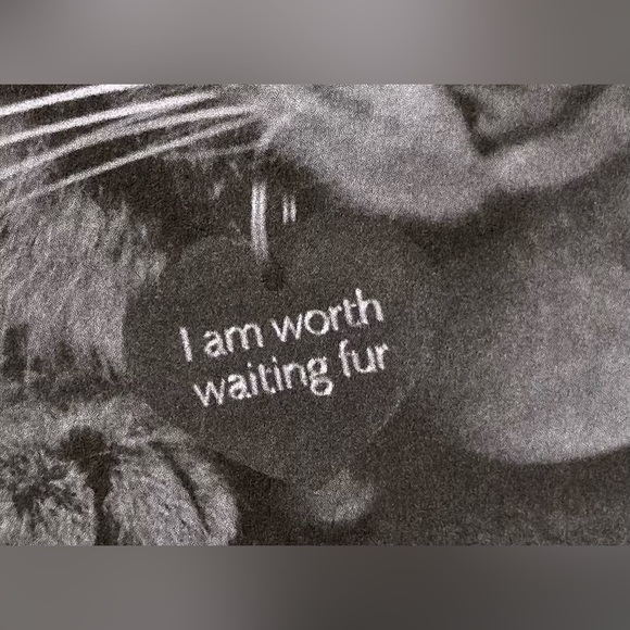 NEW How To Talk To Your Cat About Gun Safety Book - Picture 6 of 11